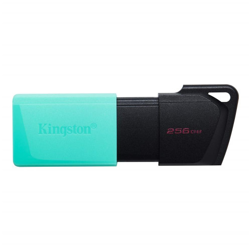 Kingston 256 GB USB3.2 Gen1 DataTraveler Exodia M Siyah - Turkuaz Flash Bellek