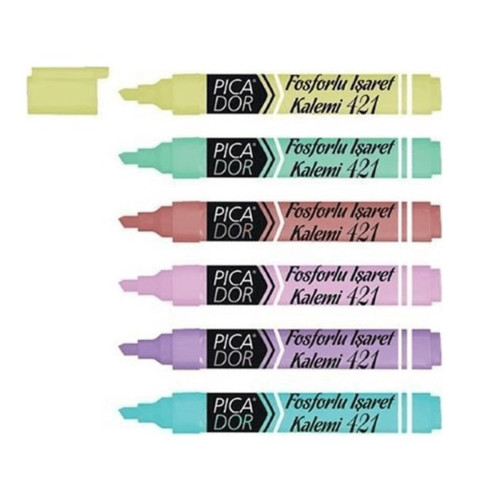 Picador Renkli Fosforlu Pastel Kalem 6'lı 421