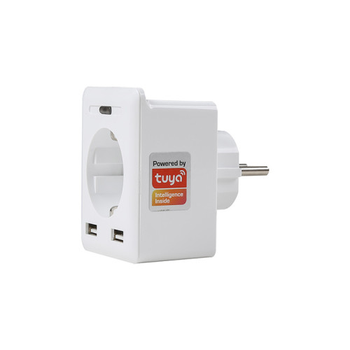 S-Link Swapp SL-04 10A Akım Korumalı Akıllı Priz 2 USB 2.4 Ghz Wifi TUYA Destekli