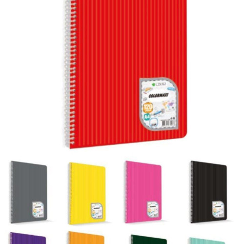 Uni Note A4 Colormaxi Spiralli Defter Plastik Kapak Kareli 120 Yaprak (6 Lı Paket)